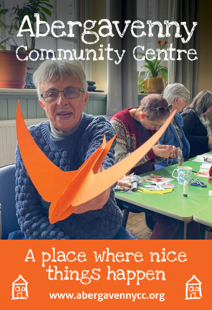 We're raising awareness about the swifts that nest each year at Abergavenny Community Centre